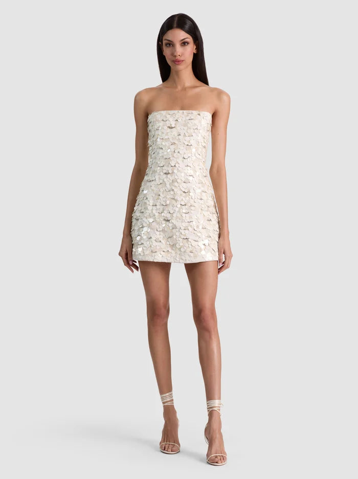 Katia Embroidered Mini Gown - Off White Multi