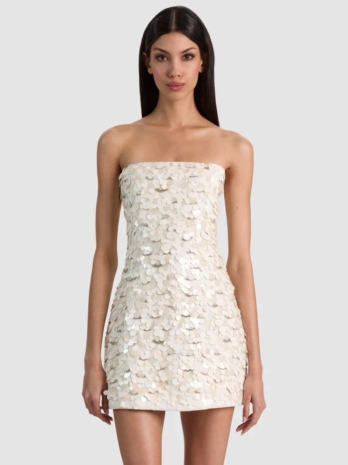 Katia Embroidered Mini Gown - Off White Multi